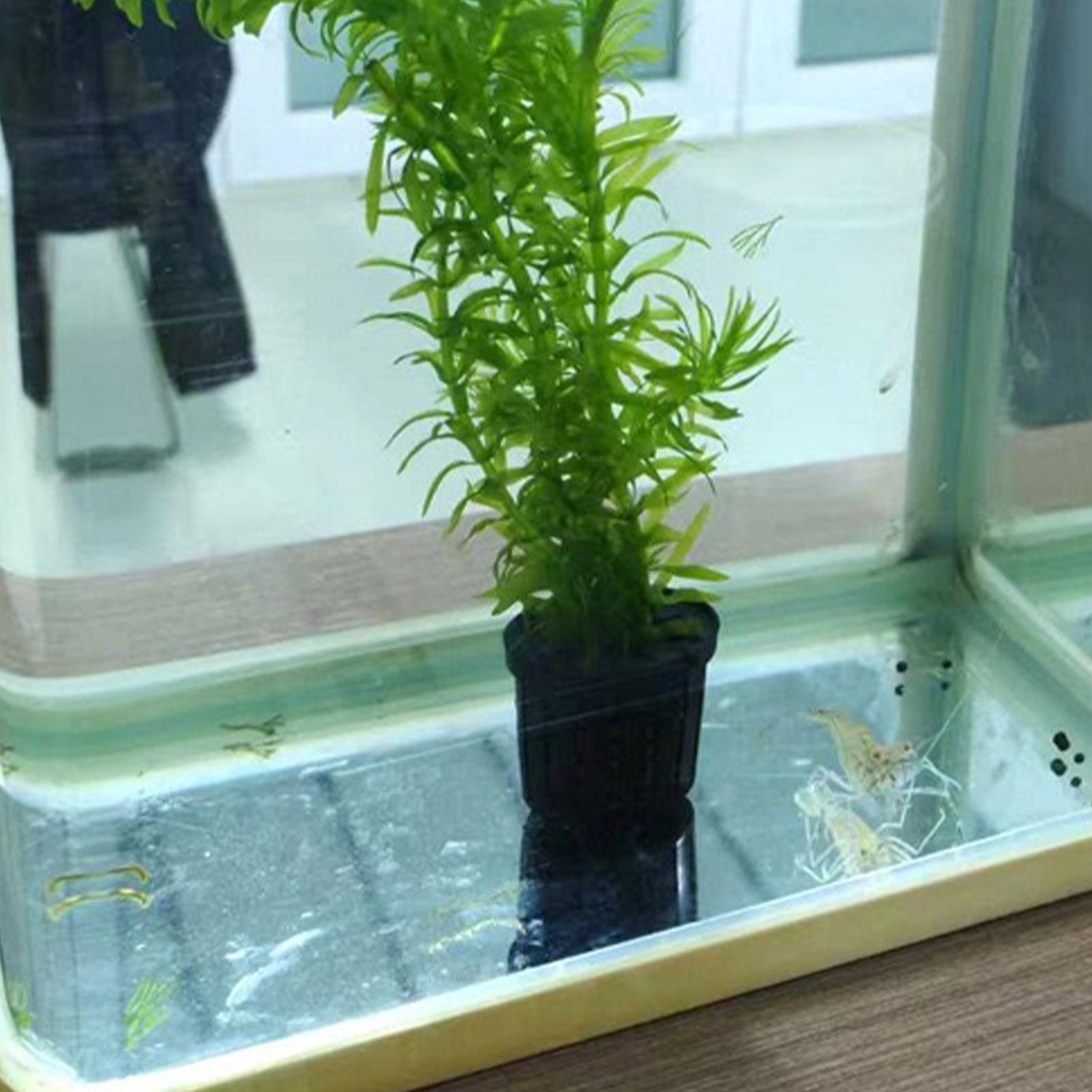 Aquarium Planted Background - ชุดกระถางปลูกพืชไฮโดรโปนิกส์ 4 ชิ้น กระถางปลูกต้นไม้ในตู้ปลา ที่ยึดต้นไม้ในตู้ปลา พร้อมจุกดูด