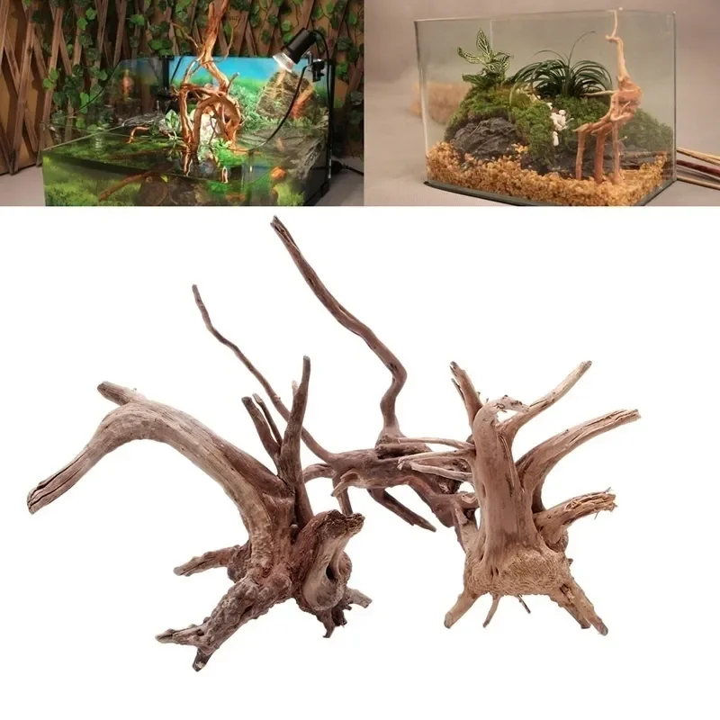 Aquarium Plant Guide - ต้นไม้ธรรมชาติลำต้นไม้ดริฟท์วู้ดตู้ปลาตู้ปลาตู้ปลาตู้ปลาตู้ปลาที่รากกระบอกพืชไม้เครื่องประดับตกแต่งสำหรับพืชในตู้ปลา