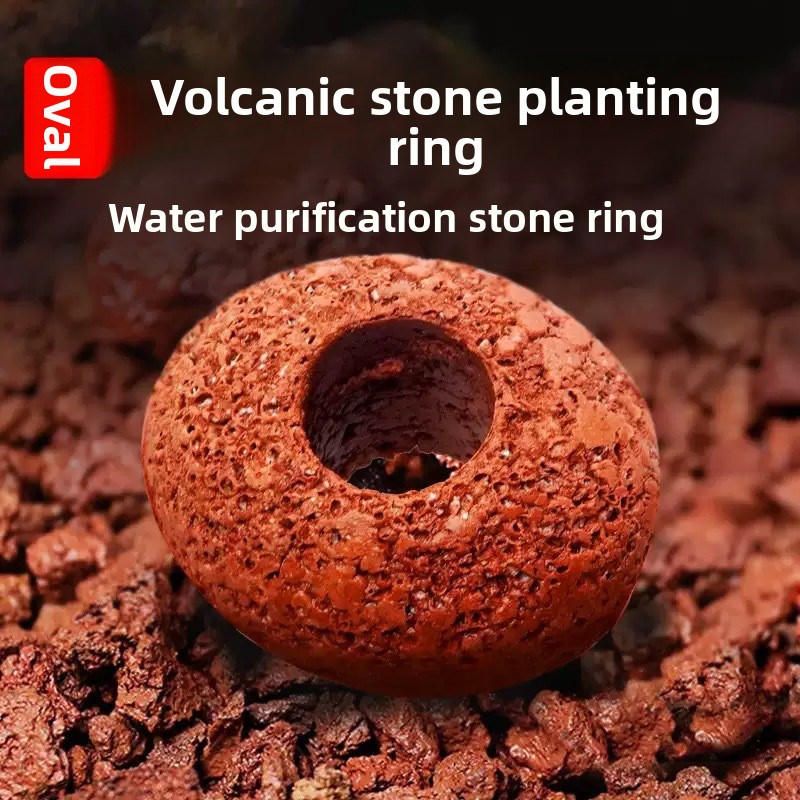 Planted Aquarium Care - หินภูเขาไฟสำหรับตู้ปลา วงแหวนปลูกพืชน้ำ อุปกรณ์ดูแลตู้ปลา อุปกรณ์เสริมสำหรับตู้ปลา น้ำจืด น้ำร้อน