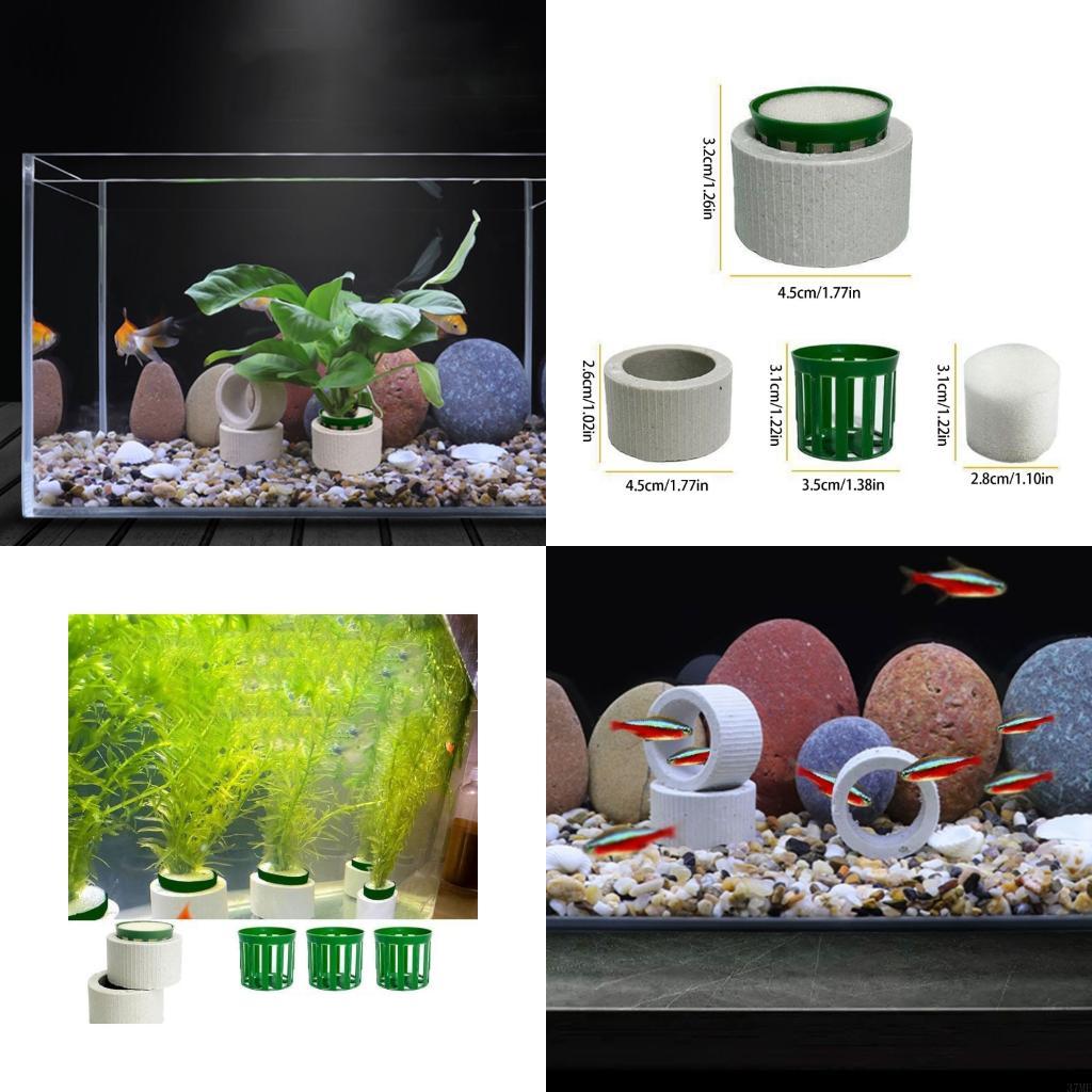 Aquarium Planted Background - 37ME 10ชิ้นพิพิธภัณฑ์สัตว์น้ำพืชคงที่แหวนตั้งเซรามิกพิพิธภัณฑ์สัตว์น้ำพืชแหวนที่มีตะกร้าและผ้าฝ้ายฟิลเลอร์อุปกรณ์ตู้ปลา