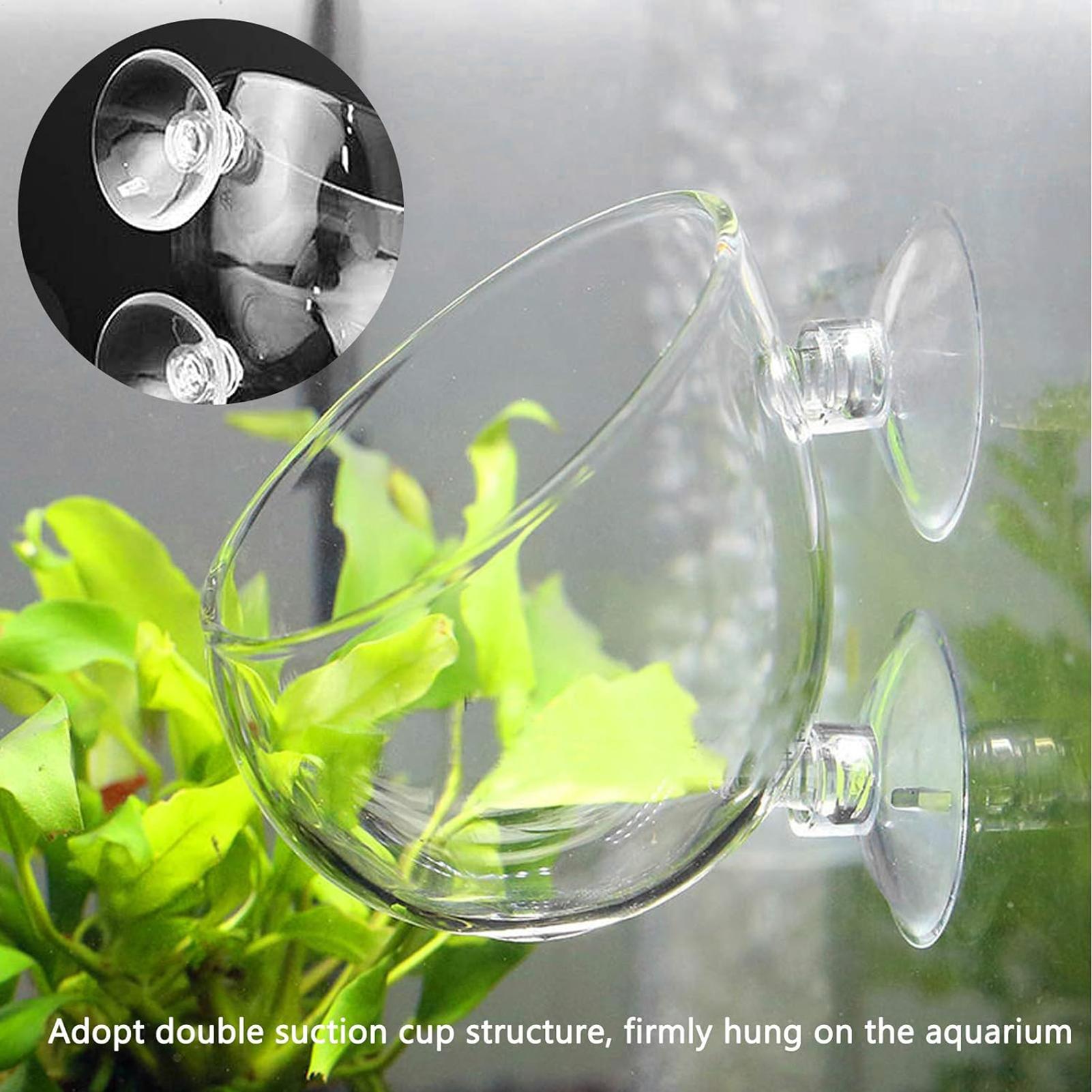 Planted Aquarium Maintenance - กระถางแก้วสำหรับปลูกต้นไม้ในตู้ปลา พร้อมจุกดูดสุญญากาศ สำหรับปลูกพืชและปลา ใช้ตกแต่งตู้ปลา
