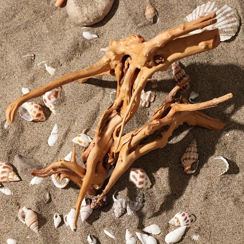 Aquarium Plant Guide - 7-26 ซม.4 ขนาด Driftwood Cuckoo Roots