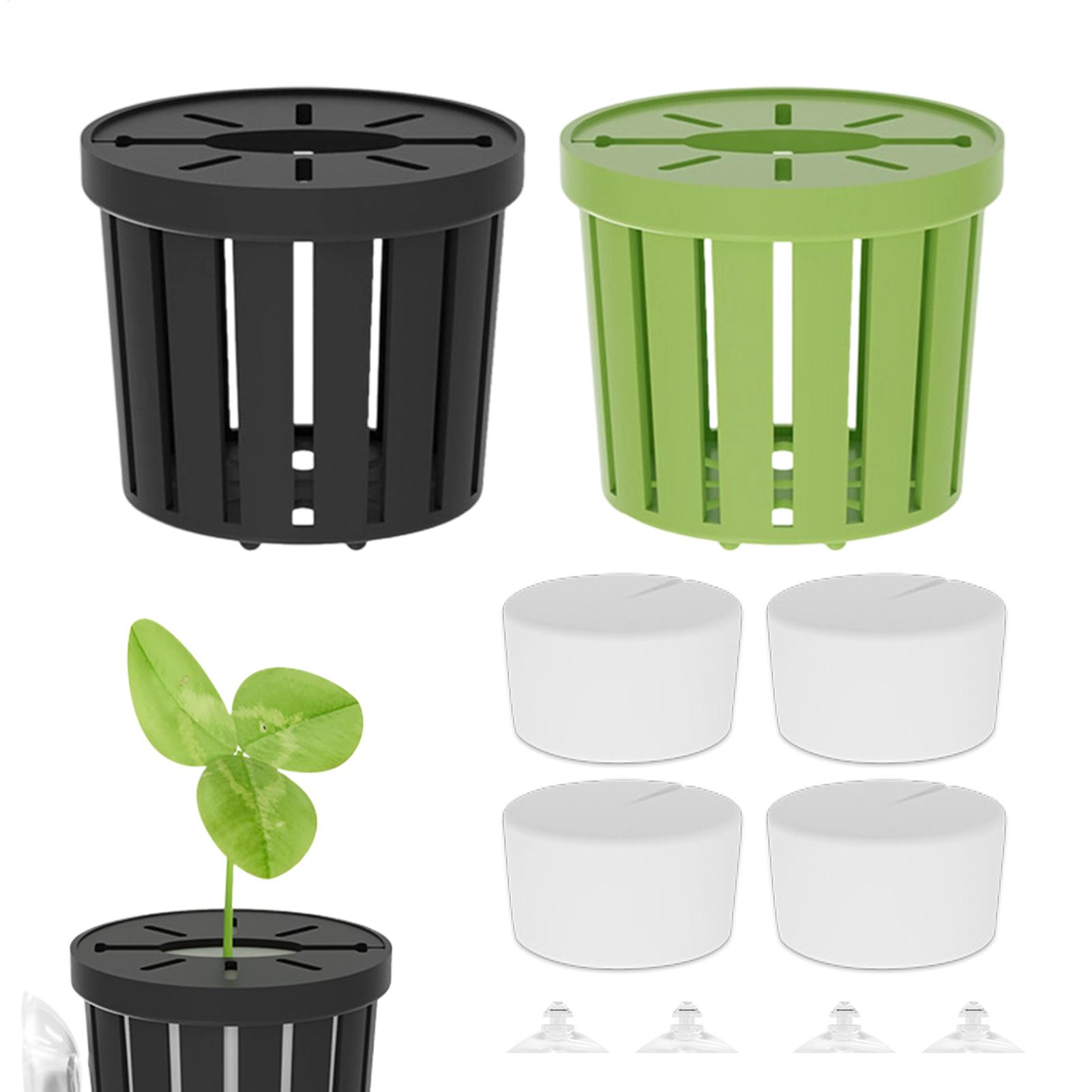 Aquarium Planted Background - ชุดยึดต้นไม้น้ำ 4 ชิ้น ตะกร้ายึดต้นไม้น้ำพร้อมจุกดูด ตู้ปลา ที่ยึดต้นไม้น้ำ