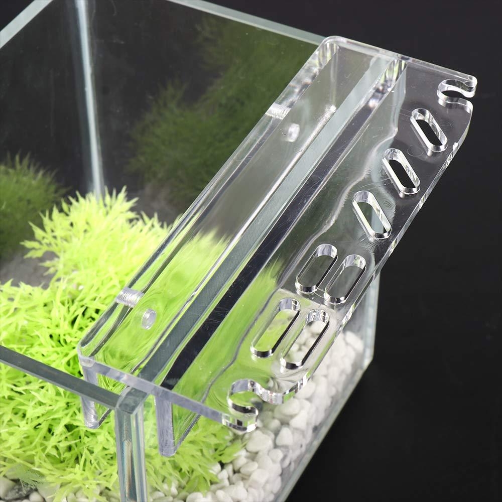 Planted Aquarium Maintenance - อุปกรณ์ทำความสะอาด ชั้นวางอุปกรณ์สำหรับตู้ปลา ที่เก็บอุปกรณ์สำหรับตู้ปลา ที่เก็บอุปกรณ์สำหรับดูแลต้นไม้ในตู้ปลา อุปกรณ์ดูแลต้นไม้ในตู้ปลา