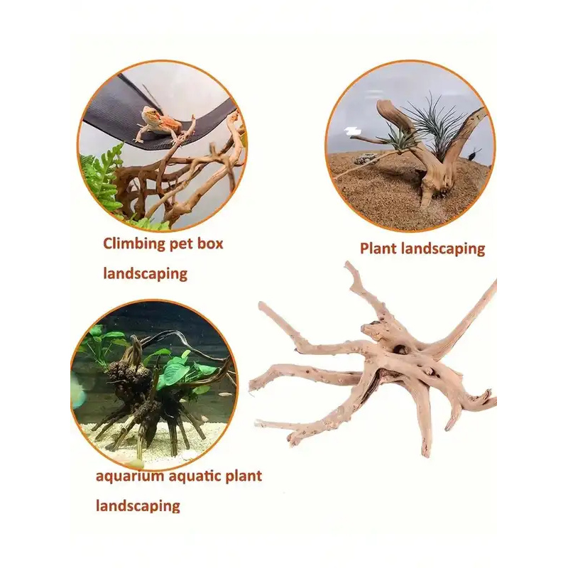 ไม้ลอยน้ำธรรมชาติสำหรับตกแต่งต - Aquarium Plant Guide บทวิจารณ์และราคา