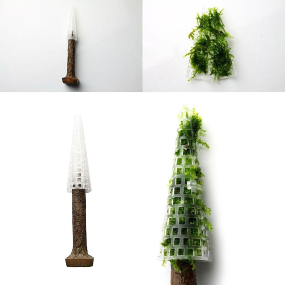 ต้นคริสต์มาสจำลอง ต้นไม้ประดับ - Aquarium Planted Background บทวิจารณ์และราคา