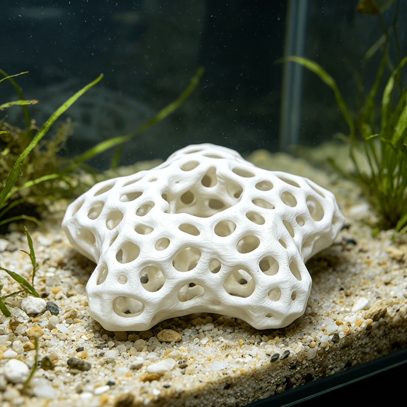 ของตกแต่งตู้ปลา รูปดาวห้าแฉกแบ - Planted Aquarium Without Fish บทวิจารณ์และราคา