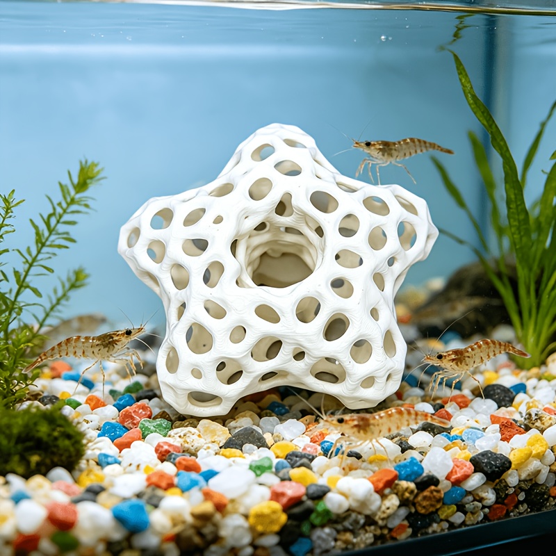 ของตกแต่งตู้ปลา รูปดาวห้าแฉกแบ - Planted Aquarium Without Fish บทวิจารณ์และราคา