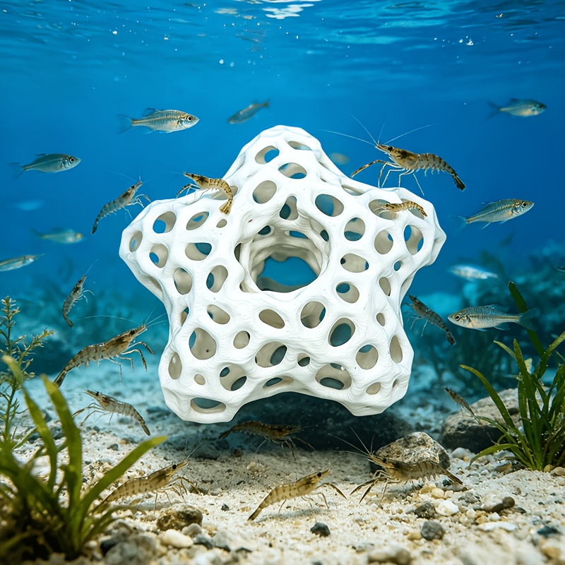 ของตกแต่งตู้ปลา รูปดาวห้าแฉกแบ - Planted Aquarium Without Fish บทวิจารณ์และราคา