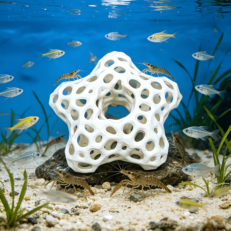 ของตกแต่งตู้ปลา รูปดาวห้าแฉกแบ - Planted Aquarium Without Fish บทวิจารณ์และราคา