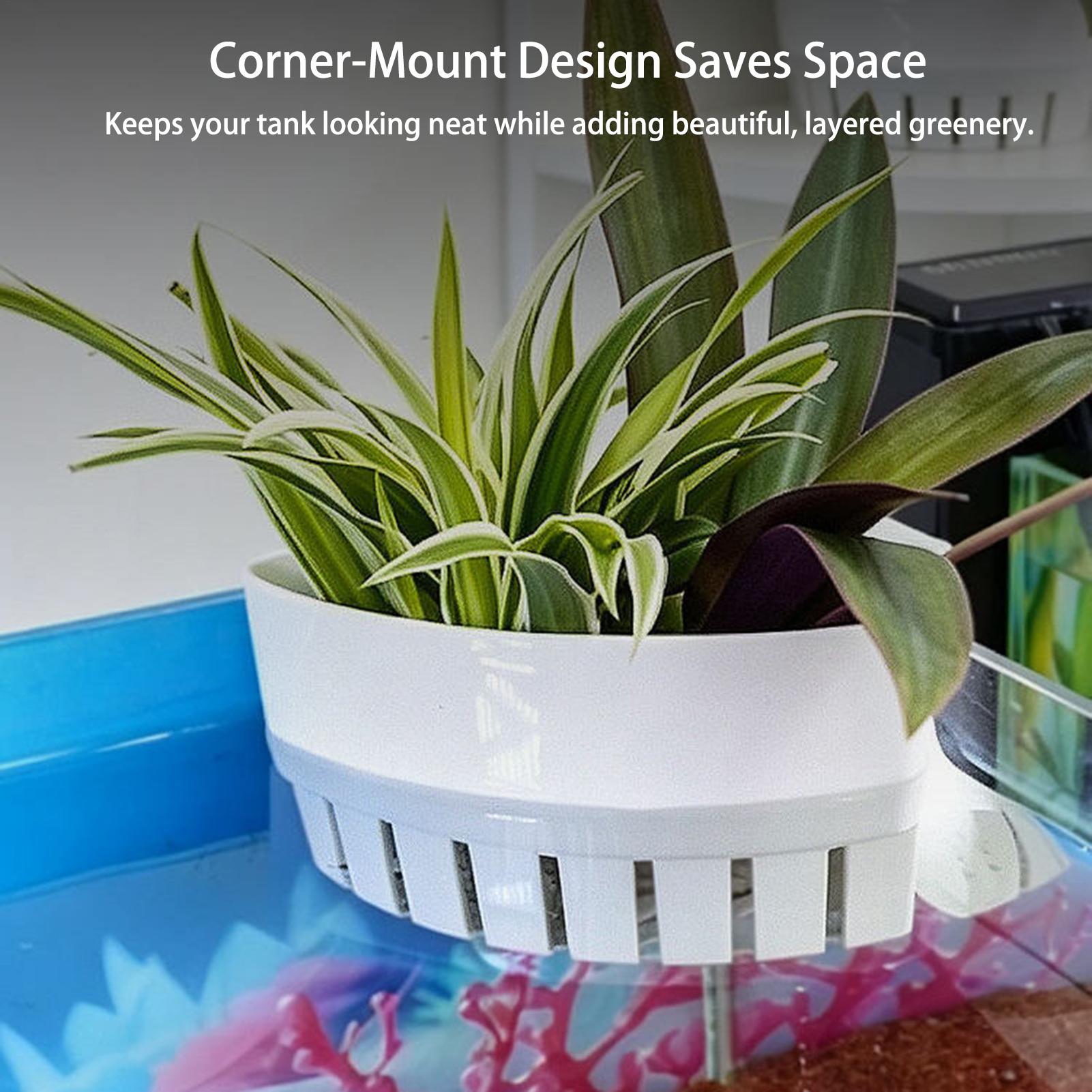 ตะกร้าปลูกพืชน้ำสำหรับตู้ปลา ก - Aquarium Planted Background บทวิจารณ์และราคา