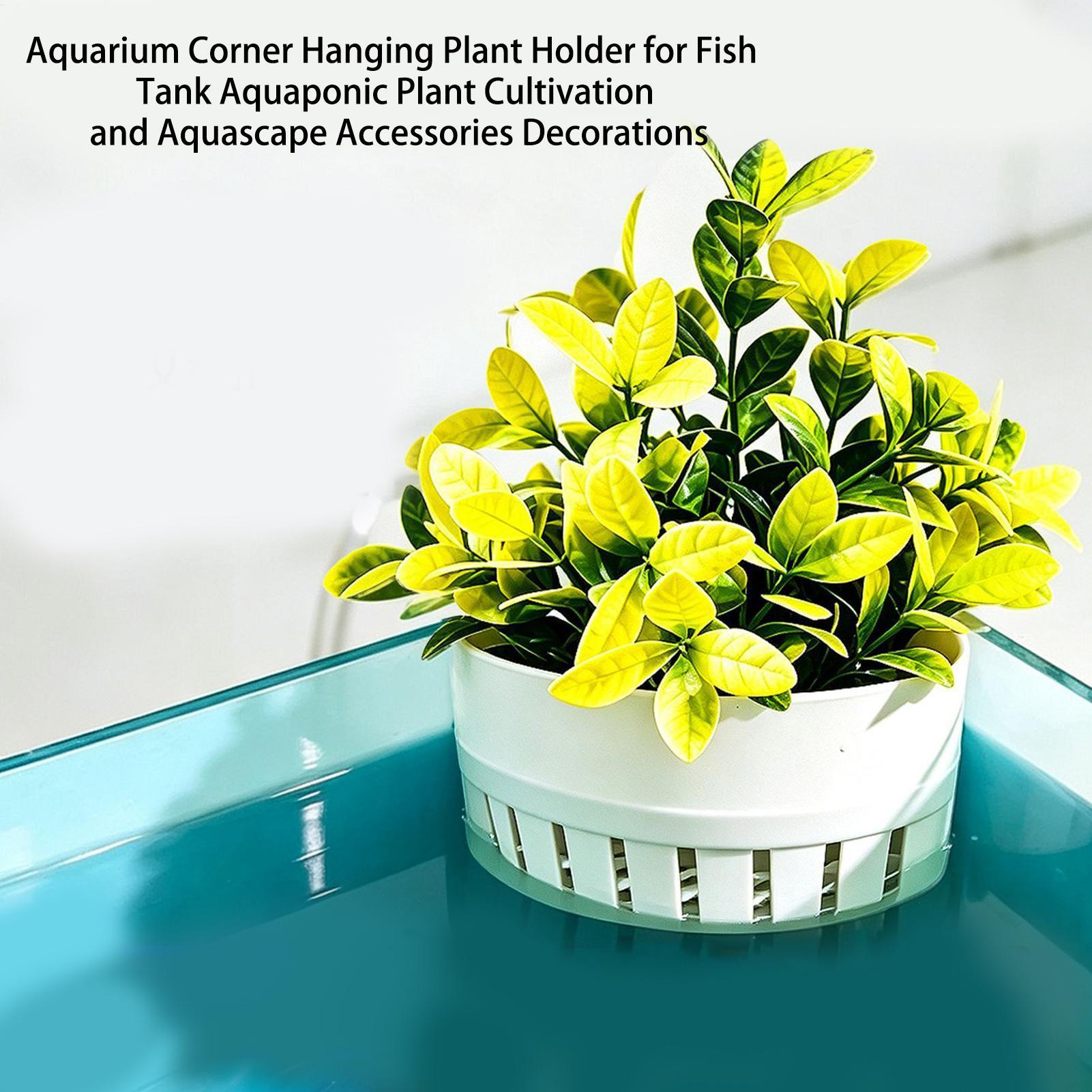 ตะกร้าปลูกพืชน้ำสำหรับตู้ปลา ก - Aquarium Planted Background บทวิจารณ์และราคา