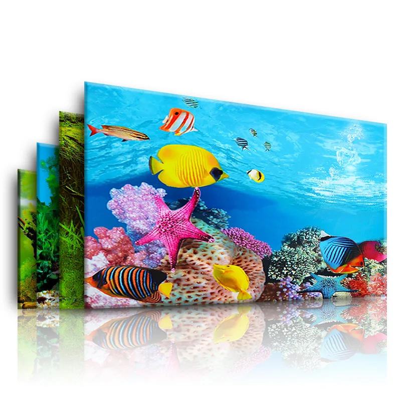 พื้นหลังสําหรับ Aquarium 3d สต - Aquarium Planted Background บทวิจารณ์และราคา