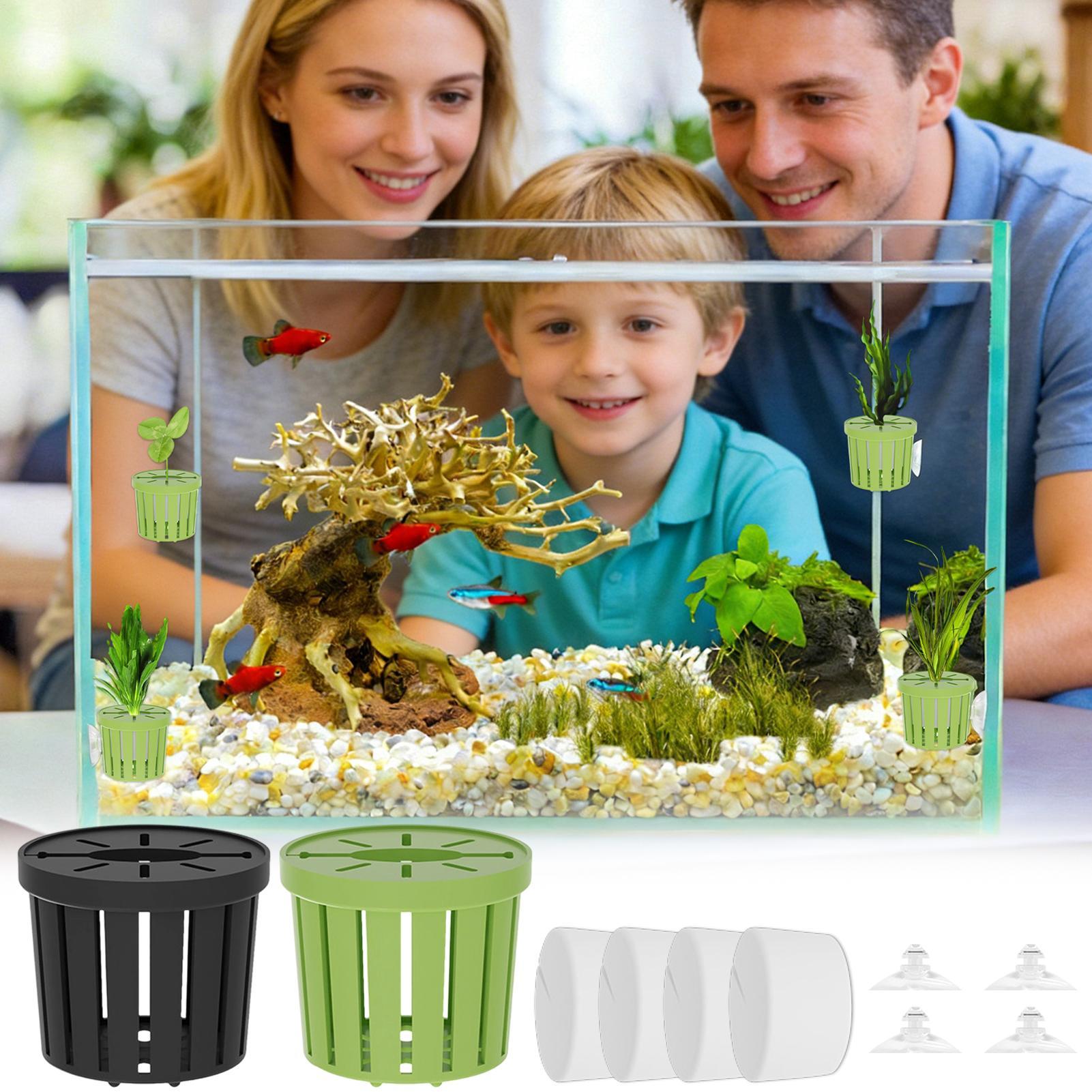 ชุดกระถางปลูกพืชไฮโดรโปนิกส์ 4 - Aquarium Planted Background บทวิจารณ์และราคา