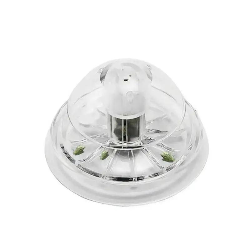 กับดักหอยทากพลาสติกใสขนาด 6/8  - Aquarium Planted Fish Tank บทวิจารณ์และราคา