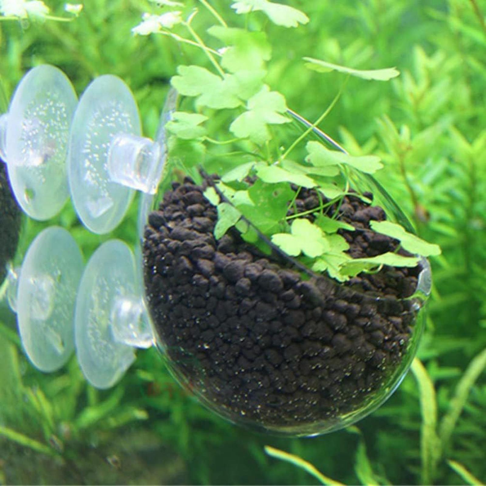 ที่วางต้นไม้ในตู้ปลา กระถางแก้ - Planted Aquarium Maintenance บทวิจารณ์และราคา