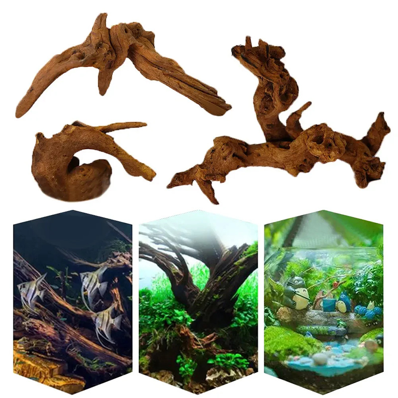 ของตกแต่งตู้ปลาขายดี ของตกแต่ง - Aquarium Plant Guide บทวิจารณ์และราคา