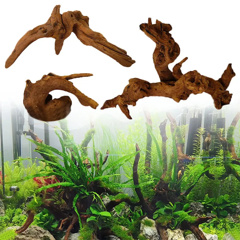 ของตกแต่งตู้ปลาขายดี ของตกแต่ง - Aquarium Plant Guide บทวิจารณ์และราคา