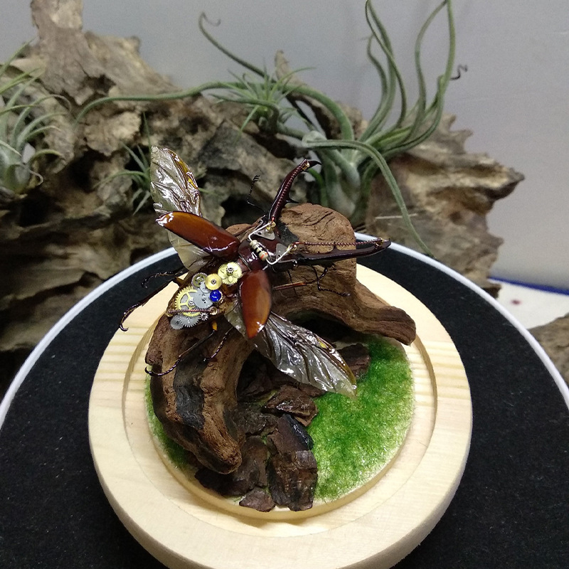 ของตกแต่งตู้ปลาขายดี ของตกแต่ง - Aquarium Plant Guide บทวิจารณ์และราคา