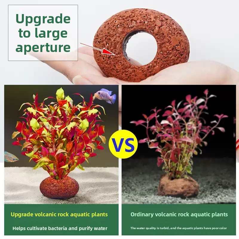 หินภูเขาไฟสำหรับตู้ปลา วงแหวนป - Planted Aquarium Care บทวิจารณ์และราคา