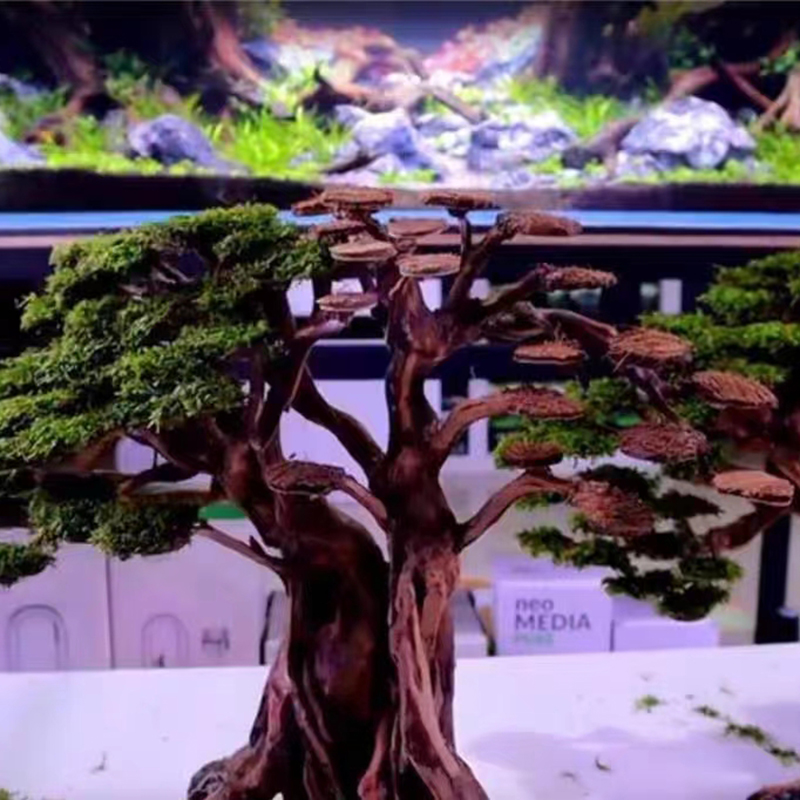 10ชิ้นกะลามะพร้าวธรรมชาติไม้ตก - Aquarium Planted Background บทวิจารณ์และราคา