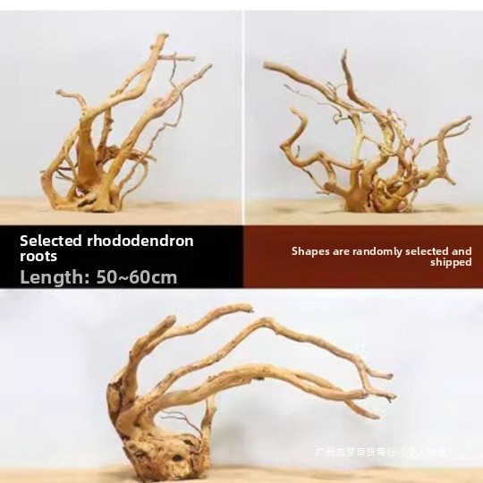 กิ่งไม้ลอยน้ำธรรมชาติสำหรับตกแ - Aquarium Planted Fish Tank บทวิจารณ์และราคา