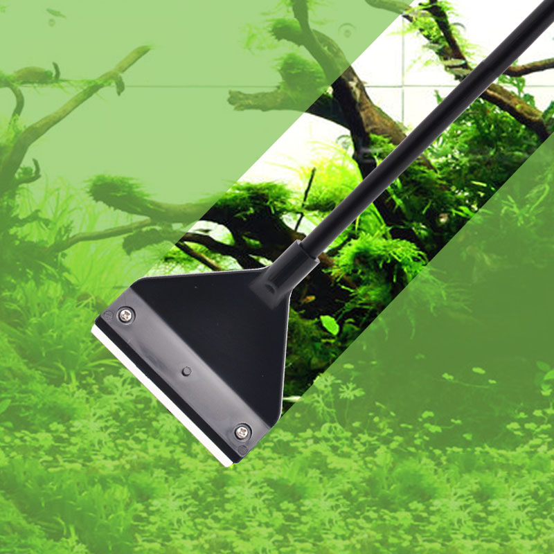 พิพิธภัณฑ์สัตว์น้ําสาหร่ายRemo - Planted Aquarium Products บทวิจารณ์และราคา
