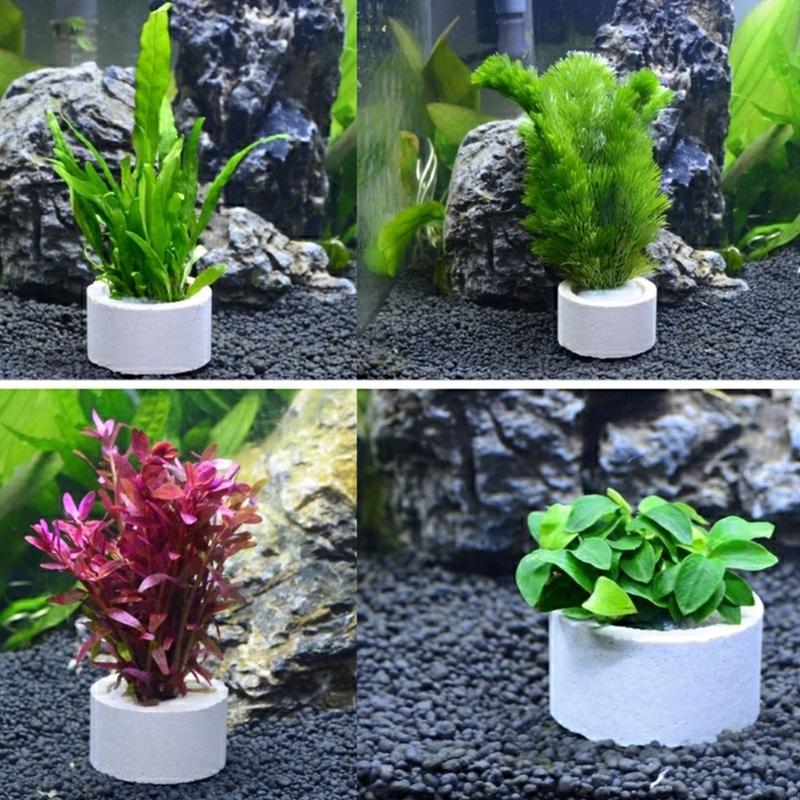37ME 10ชิ้นพิพิธภัณฑ์สัตว์น้ำพ - Aquarium Planted Background บทวิจารณ์และราคา