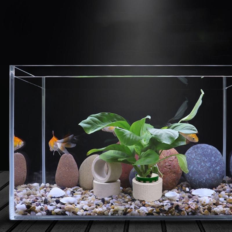 37ME 10ชิ้นพิพิธภัณฑ์สัตว์น้ำพ - Aquarium Planted Background บทวิจารณ์และราคา