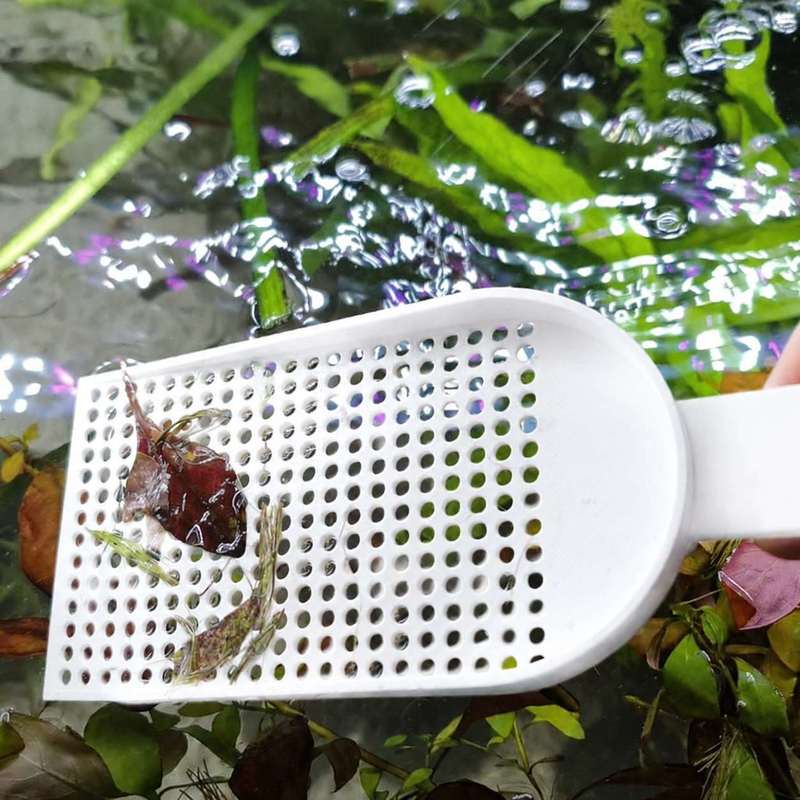 ตะแกรงตักเศษขยะในตู้ปลา ตาข่าย - Planted Aquarium Maintenance บทวิจารณ์และราคา