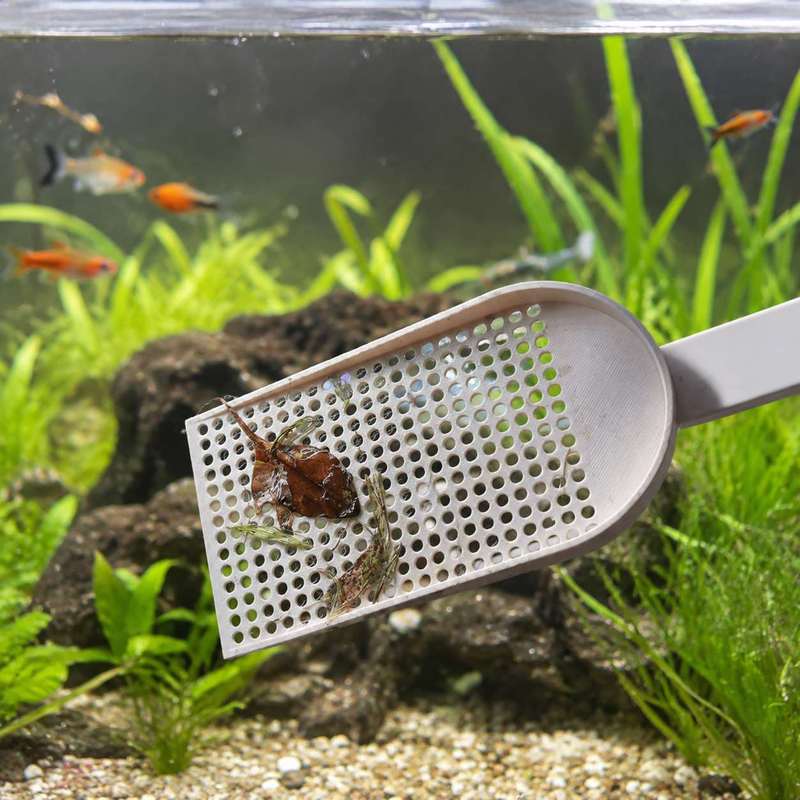 ตะแกรงตักเศษขยะในตู้ปลา ตาข่าย - Planted Aquarium Maintenance บทวิจารณ์และราคา