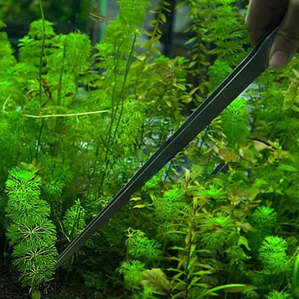 แหนบสเตนเลส27ซม. ใช้ได้ทั่วโลก - Planted Aquarium Maintenance บทวิจารณ์และราคา