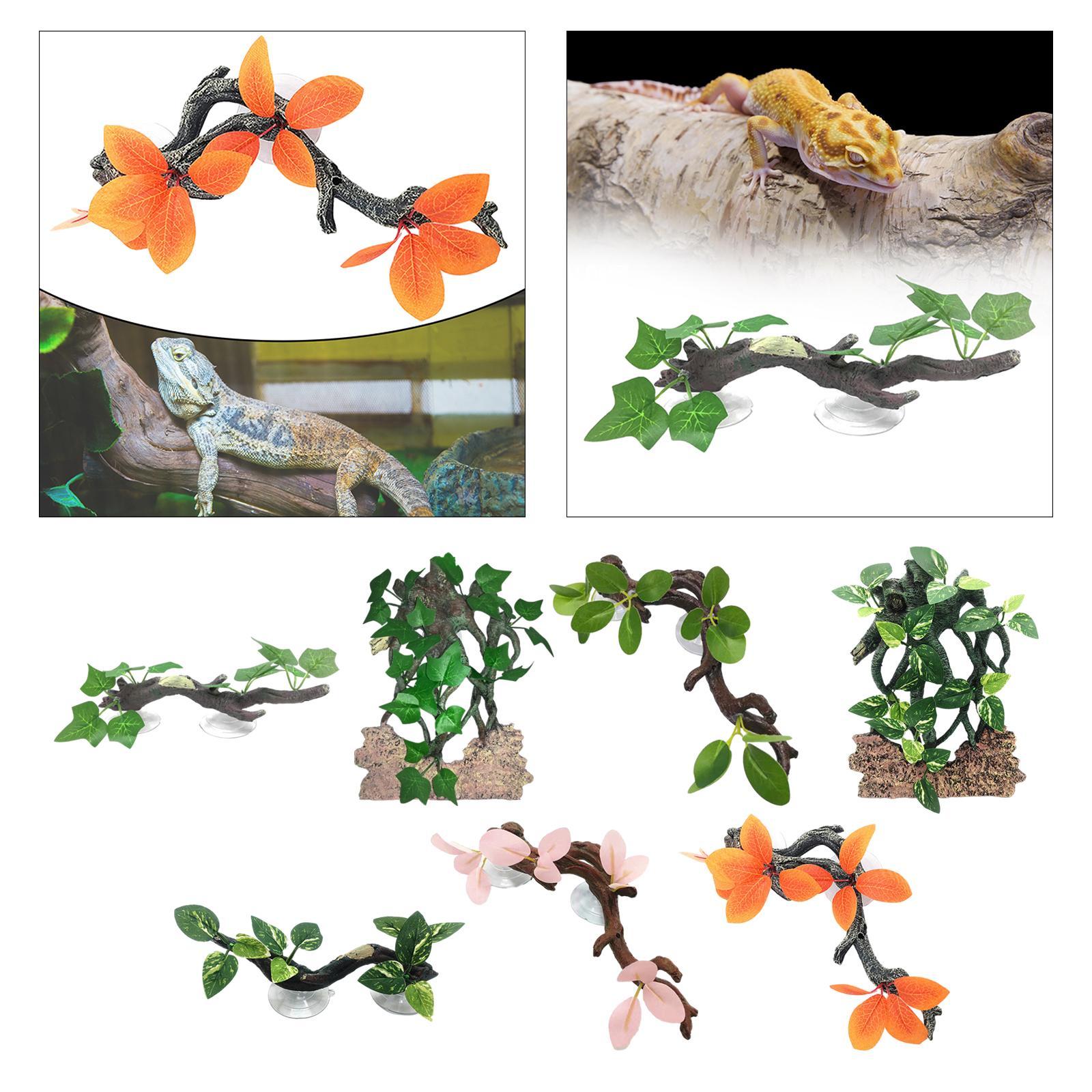 พืชตุ๊กแกจำลองจำลองพื้นหลังตู้ - Aquarium Planted Background บทวิจารณ์และราคา