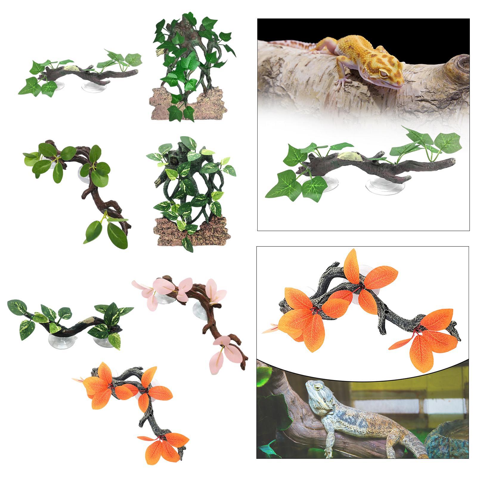 พืชตุ๊กแกจำลองจำลองพื้นหลังตู้ - Aquarium Planted Background บทวิจารณ์และราคา