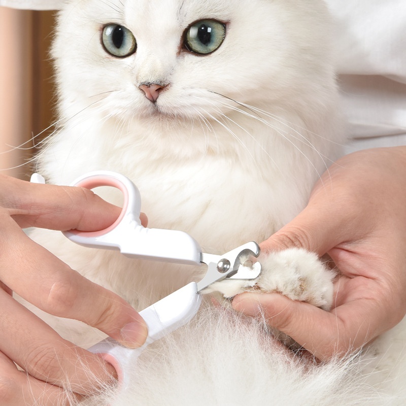 กรรไกรตัดเล็บสัตว์เลี้ยงสำหรับ - Trimming Scissor Set บทวิจารณ์และราคา