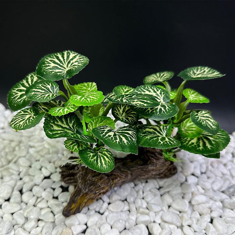 ประดิษฐ์หญ้าใต้น้ํา Aquarium ถ - Aquarium Planted Background บทวิจารณ์และราคา