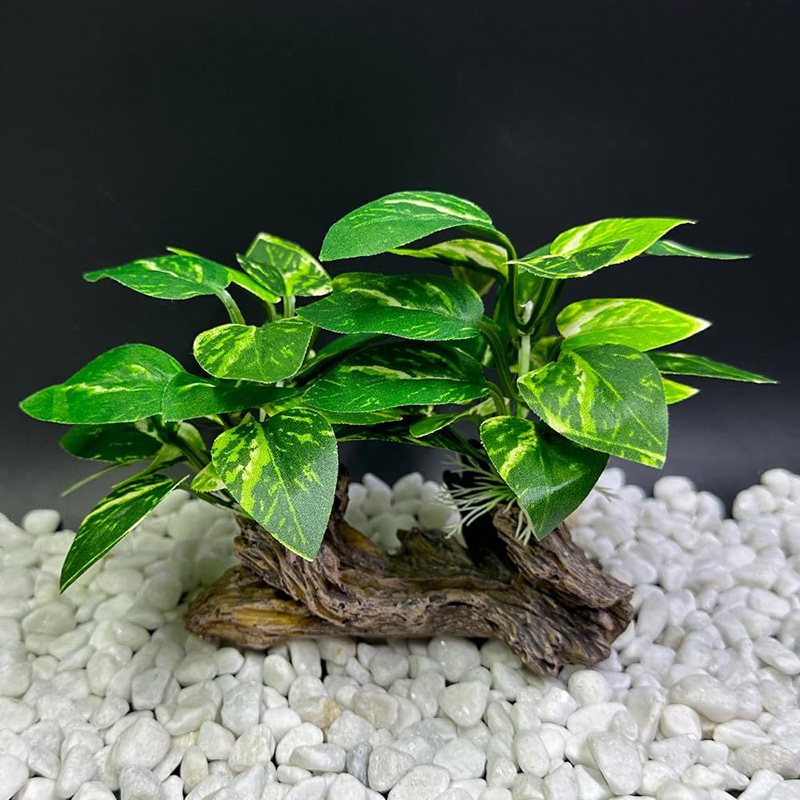 ประดิษฐ์หญ้าใต้น้ํา Aquarium ถ - Aquarium Planted Background บทวิจารณ์และราคา
