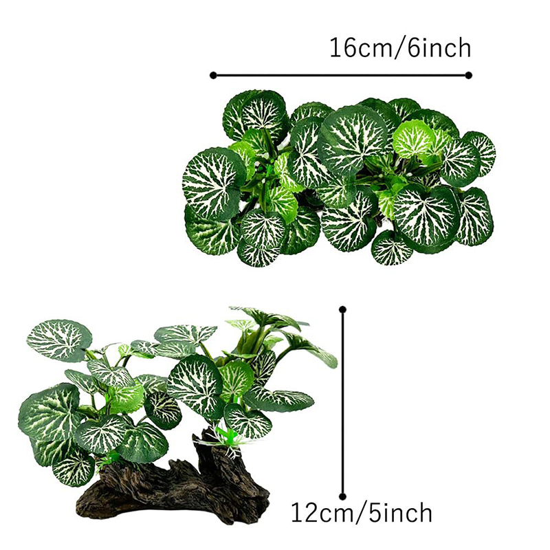 ประดิษฐ์หญ้าใต้น้ํา Aquarium ถ - Aquarium Planted Background บทวิจารณ์และราคา