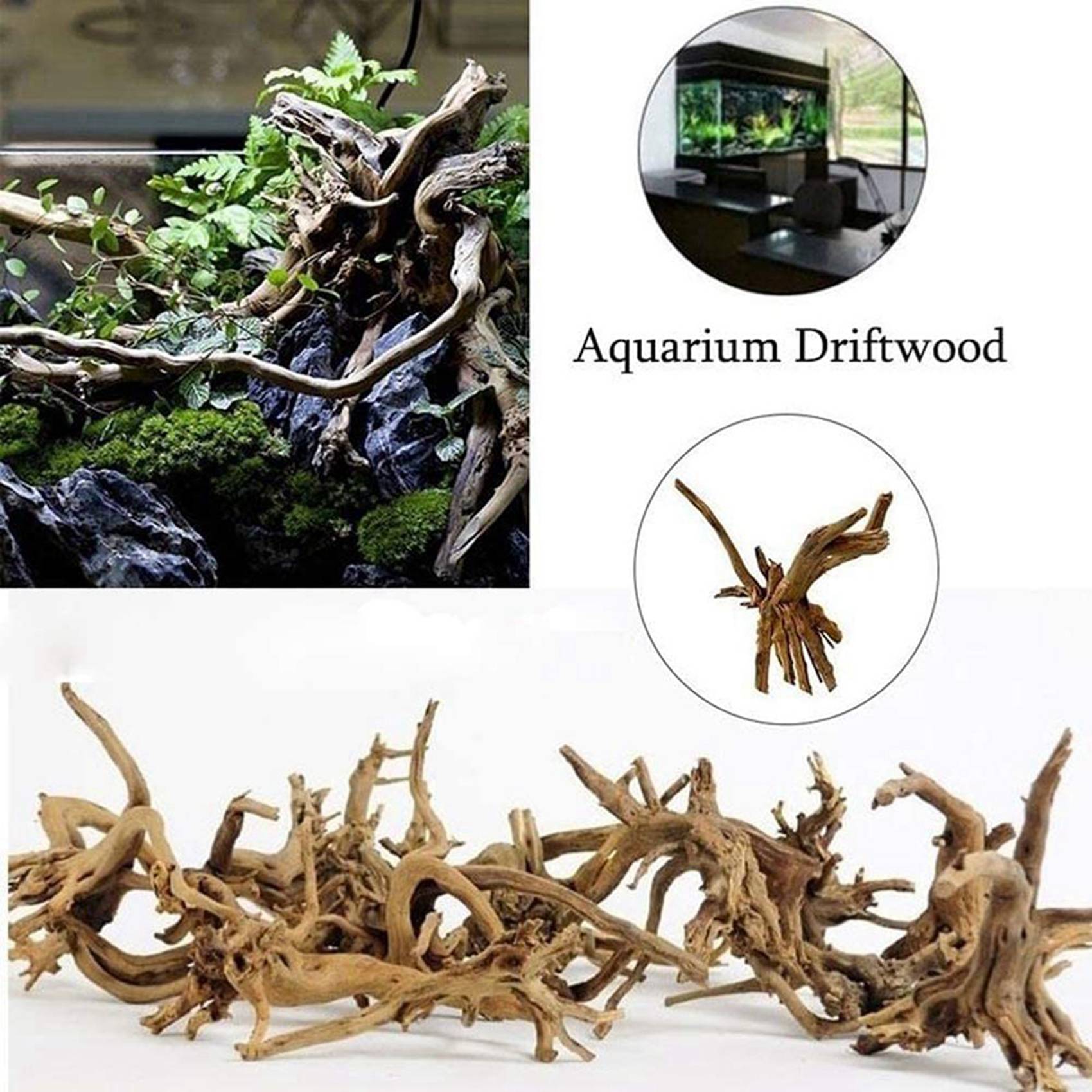 ลดราคา-ไม้ลอยน้ำขนาดเล็กสำหรับ - Aquarium Plant Guide บทวิจารณ์และราคา