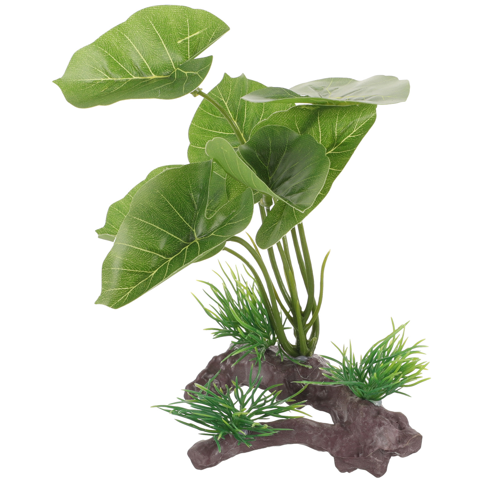 ต้นไม้พลาสติกเสมือนจริงสำหรับต - Planted Aquarium Care บทวิจารณ์และราคา