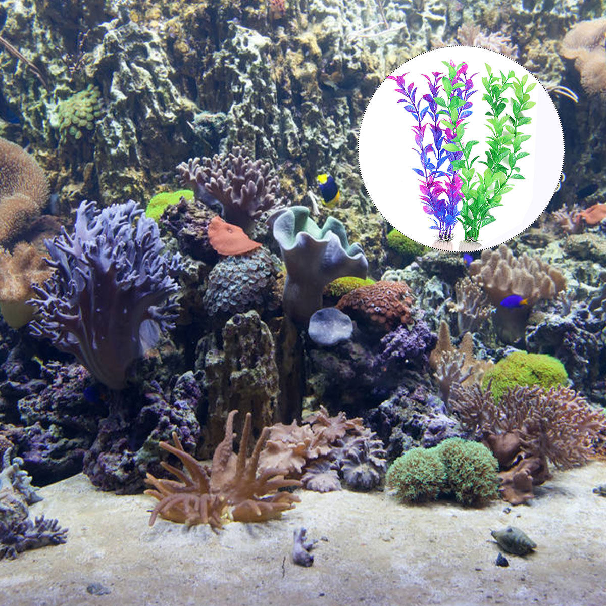 ชุดต้นไม้น้ำปลอม 10 ชิ้น 5 ต้น - Planted Aquarium Maintenance บทวิจารณ์และราคา