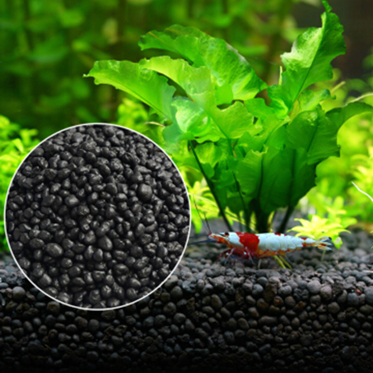 พิพิธภัณฑ์สัตว์น้ำเมล็ดพืชดิน  - Planted Aquarium Care บทวิจารณ์และราคา