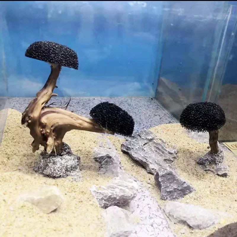 พิพิธภัณฑ์สัตว์น้ําตกแต่งพืช M - Planted Aquarium Without Fish บทวิจารณ์และราคา