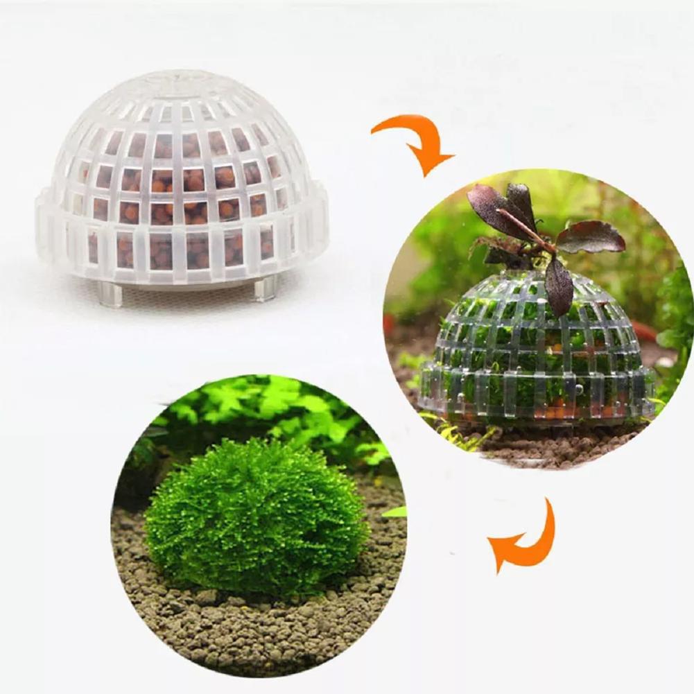 อุปกรณ์ตกแต่งตู้ปลา 1 ชิ้น ลูก - Planted Aquarium Maintenance บทวิจารณ์และราคา