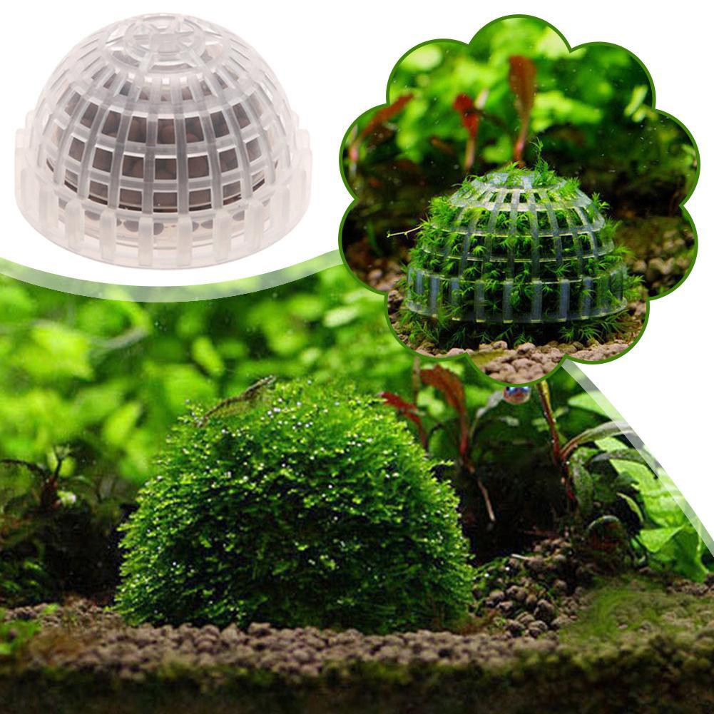 อุปกรณ์ตกแต่งตู้ปลา 1 ชิ้น ลูก - Planted Aquarium Maintenance บทวิจารณ์และราคา