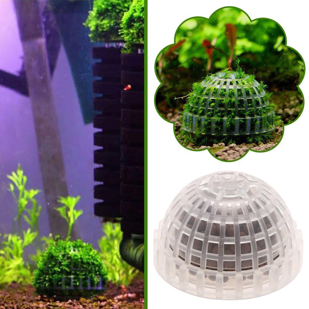 อุปกรณ์ตกแต่งตู้ปลา 1 ชิ้น ลูก - Planted Aquarium Maintenance บทวิจารณ์และราคา