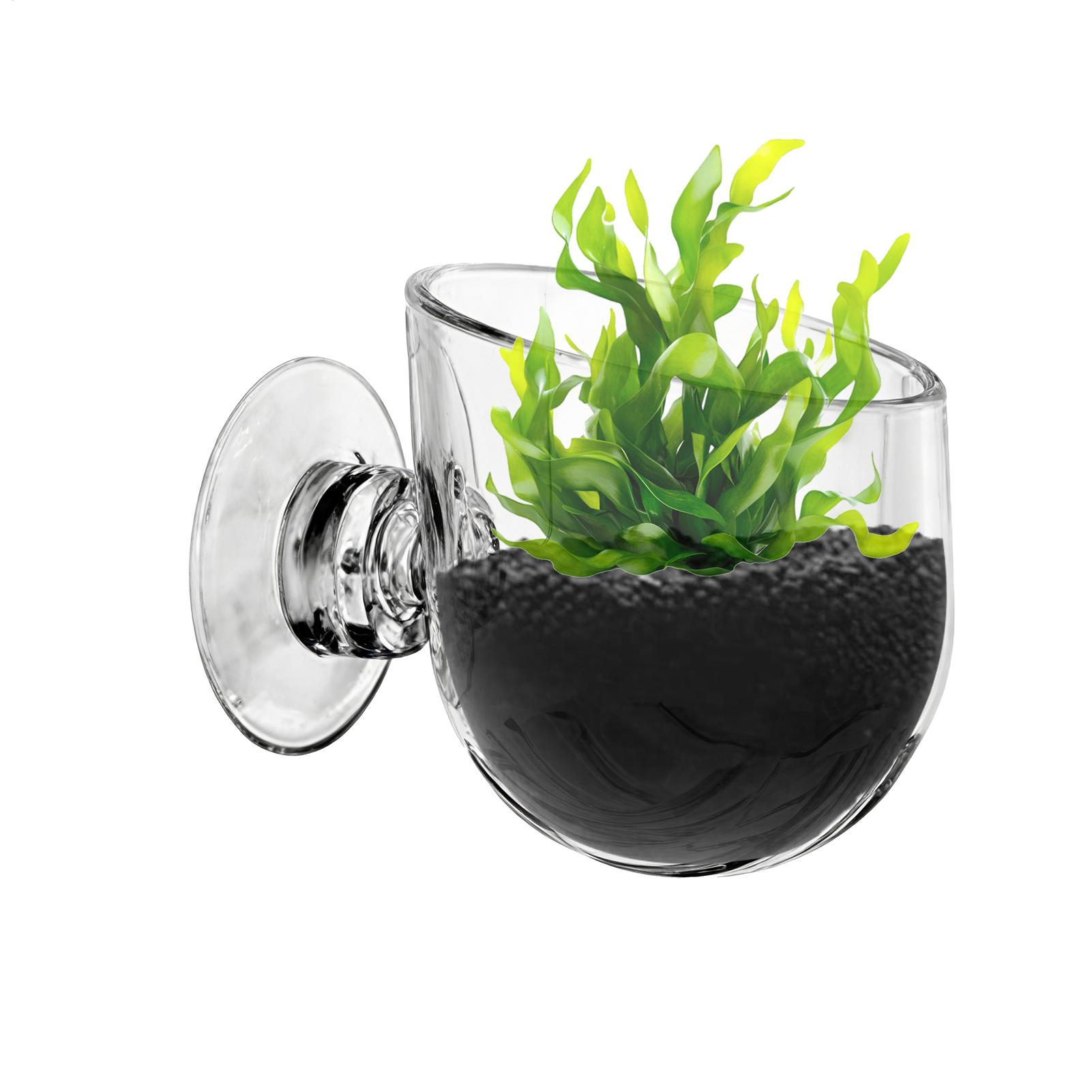 ที่วางต้นไม้ในตู้ปลา อะคริลิค  - Aquarium Planted Background บทวิจารณ์และราคา