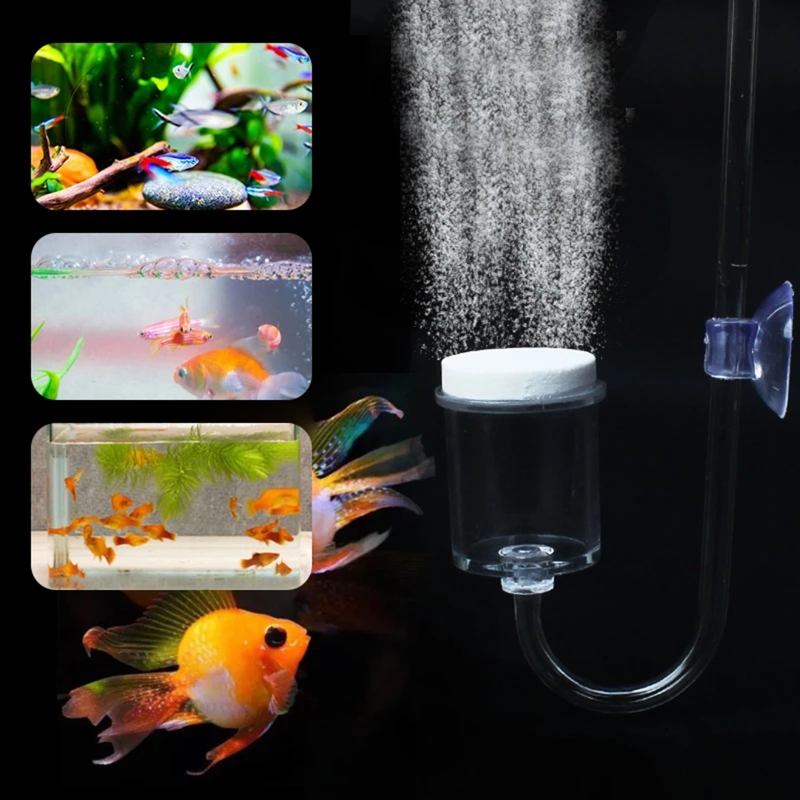 DIY ชุดกระจาย CO2 4ชิ้นสำหรับต - Planted Aquarium Maintenance บทวิจารณ์และราคา