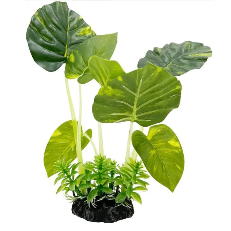 ขนาดเล็กหญ้าใต้น้ํา Aquarium ถ - Aquarium Planted Background บทวิจารณ์และราคา