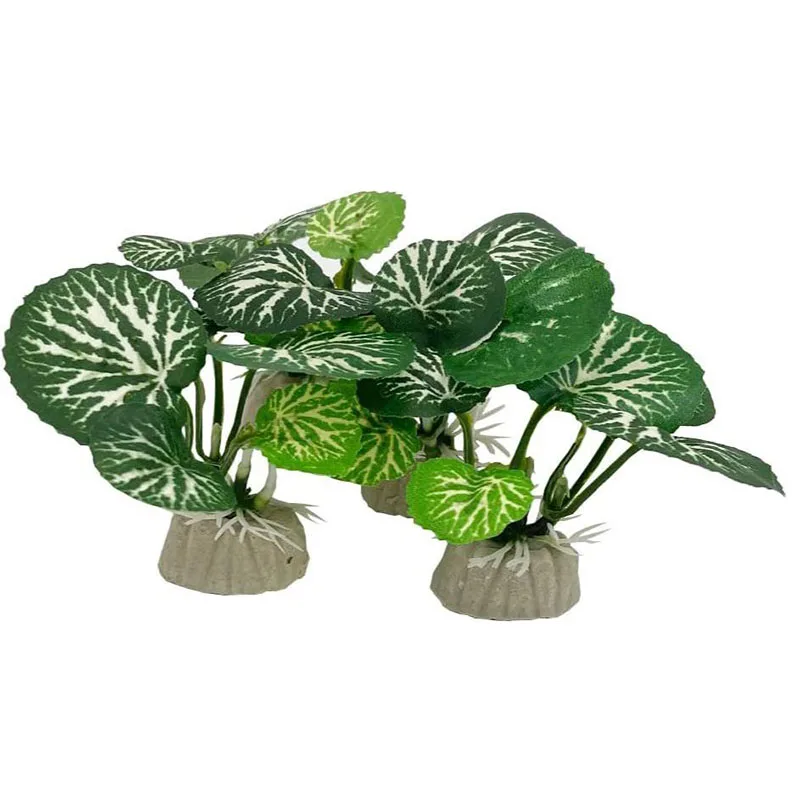 ขนาดเล็กหญ้าใต้น้ํา Aquarium ถ - Aquarium Planted Background บทวิจารณ์และราคา